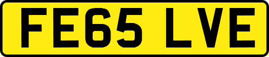FE65LVE