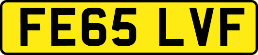 FE65LVF