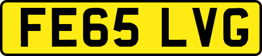 FE65LVG