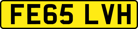 FE65LVH