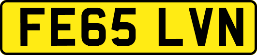FE65LVN