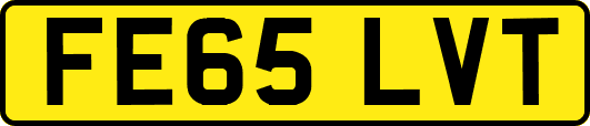 FE65LVT