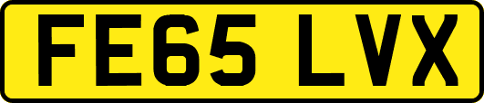 FE65LVX