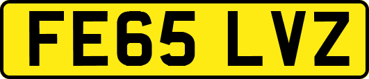 FE65LVZ