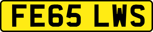 FE65LWS