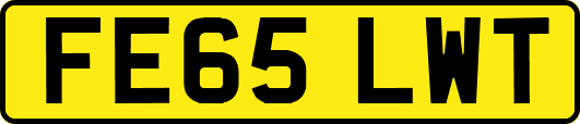 FE65LWT