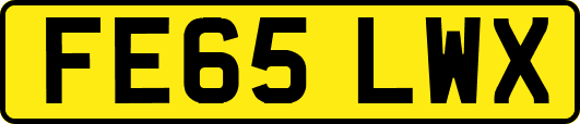FE65LWX