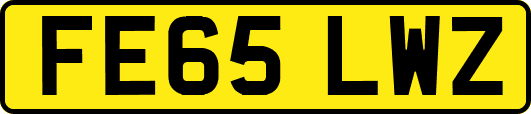 FE65LWZ