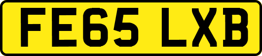 FE65LXB