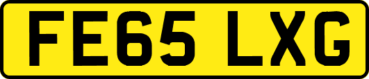 FE65LXG