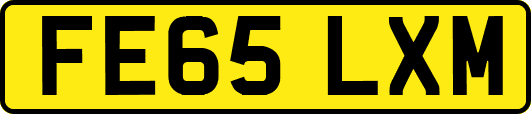 FE65LXM