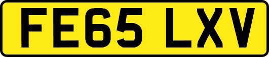 FE65LXV