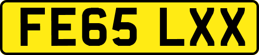 FE65LXX