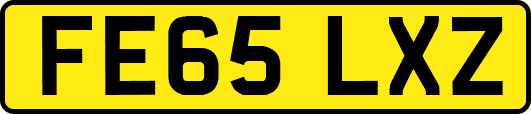 FE65LXZ