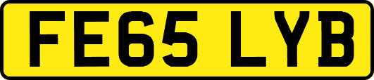 FE65LYB