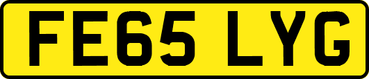 FE65LYG