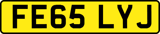 FE65LYJ