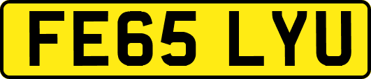 FE65LYU