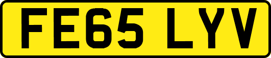 FE65LYV