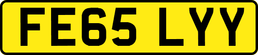 FE65LYY