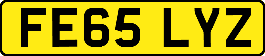 FE65LYZ