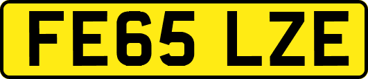 FE65LZE
