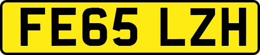 FE65LZH