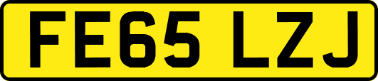 FE65LZJ