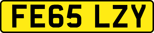 FE65LZY