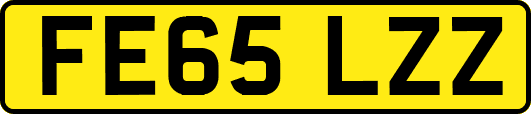 FE65LZZ