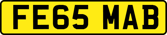 FE65MAB
