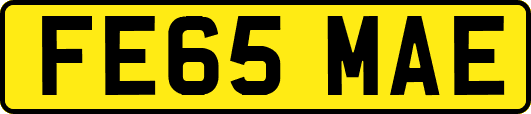 FE65MAE