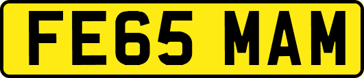 FE65MAM