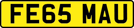 FE65MAU