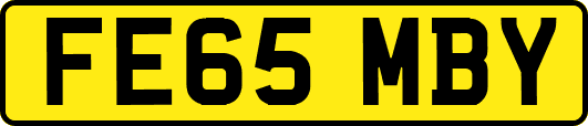 FE65MBY