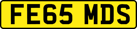 FE65MDS