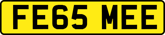 FE65MEE