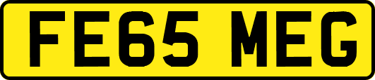 FE65MEG