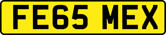 FE65MEX