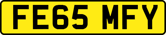 FE65MFY