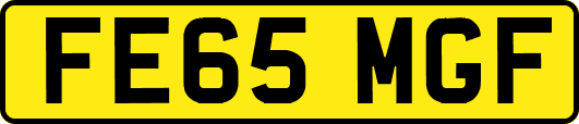 FE65MGF