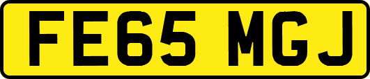 FE65MGJ