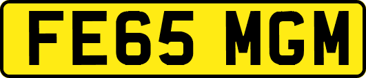 FE65MGM