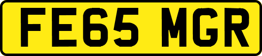 FE65MGR