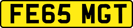 FE65MGT
