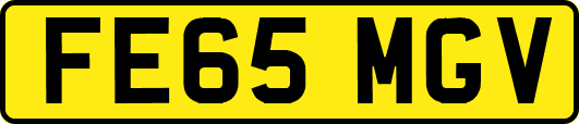 FE65MGV