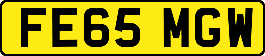FE65MGW