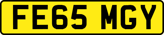 FE65MGY