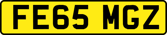 FE65MGZ
