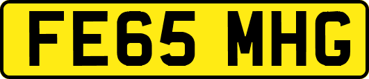 FE65MHG